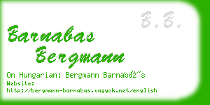 barnabas bergmann business card